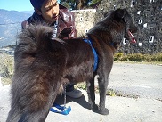 IMG_20121120_110429~1.jpg