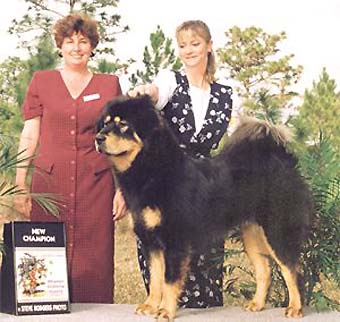 Shang Hai's Harley Davidson
