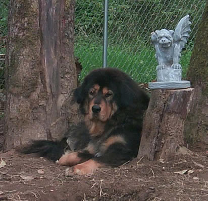 Shang Hai's Queen of Egypt
