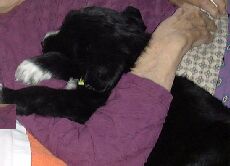 Amey 29th puppy Weeds
