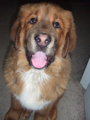 Baby Spencer at 15 Weeks Laughing at His Dad!
