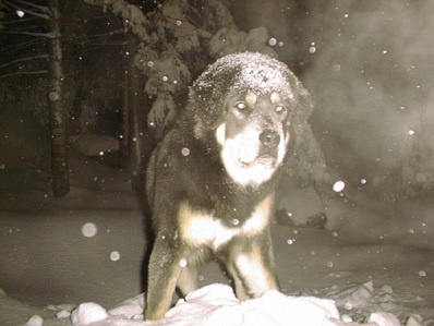 In the eye of the storm
