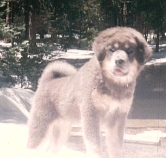 First day at my new home
