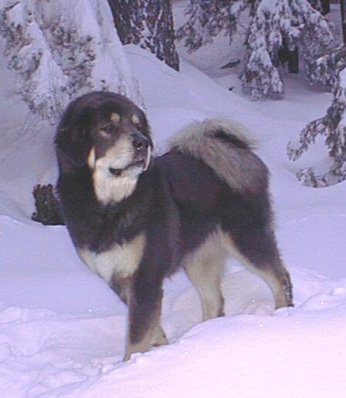 Ahhhh ... so peaceful
