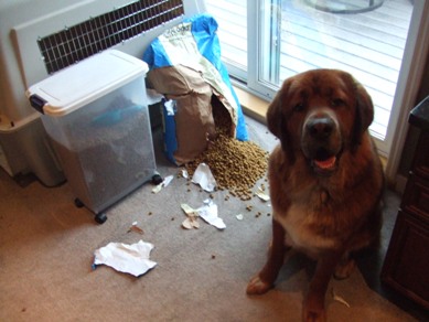 Spencer Strikes Again & Thinks It's Funny !!!
Keywords: Spencer Strikes Again & Thinks It's Funny !!!