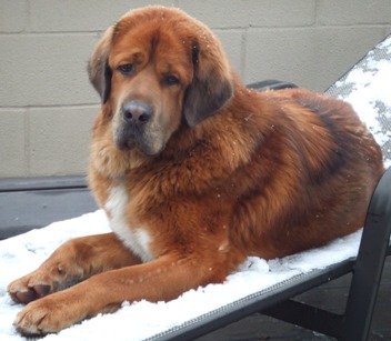 Spencer at 12 Months
