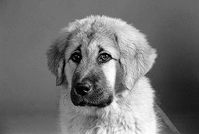 Cang Po Grimur Van der Woudensland
