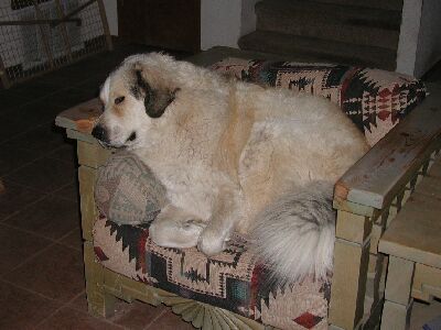 couch potato 015r.jpg