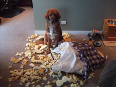 Spencer Tries To Show Dad Who's Boss!
