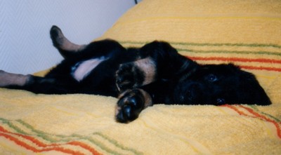 Fang Samantabhadra-Marinaland
