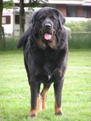 Fang Samantabhadra-Marinaland
