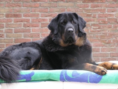 Fang Samantabhadra-Marinaland
