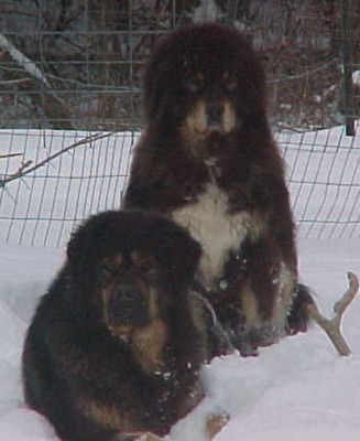 Arborstone A.D. Gracie & NIkki
