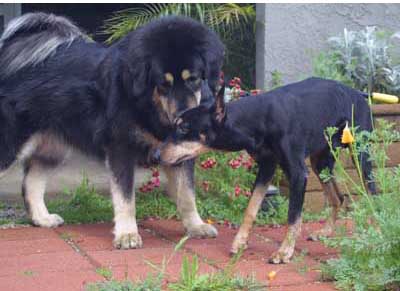 Seiko and Aro, on his last day.

